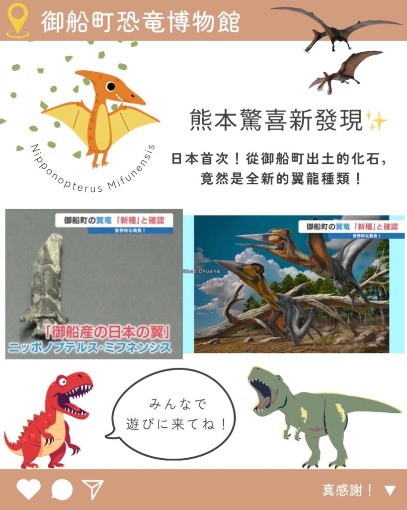 熊本驚喜新發現