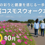 七城大波斯菊健走2025