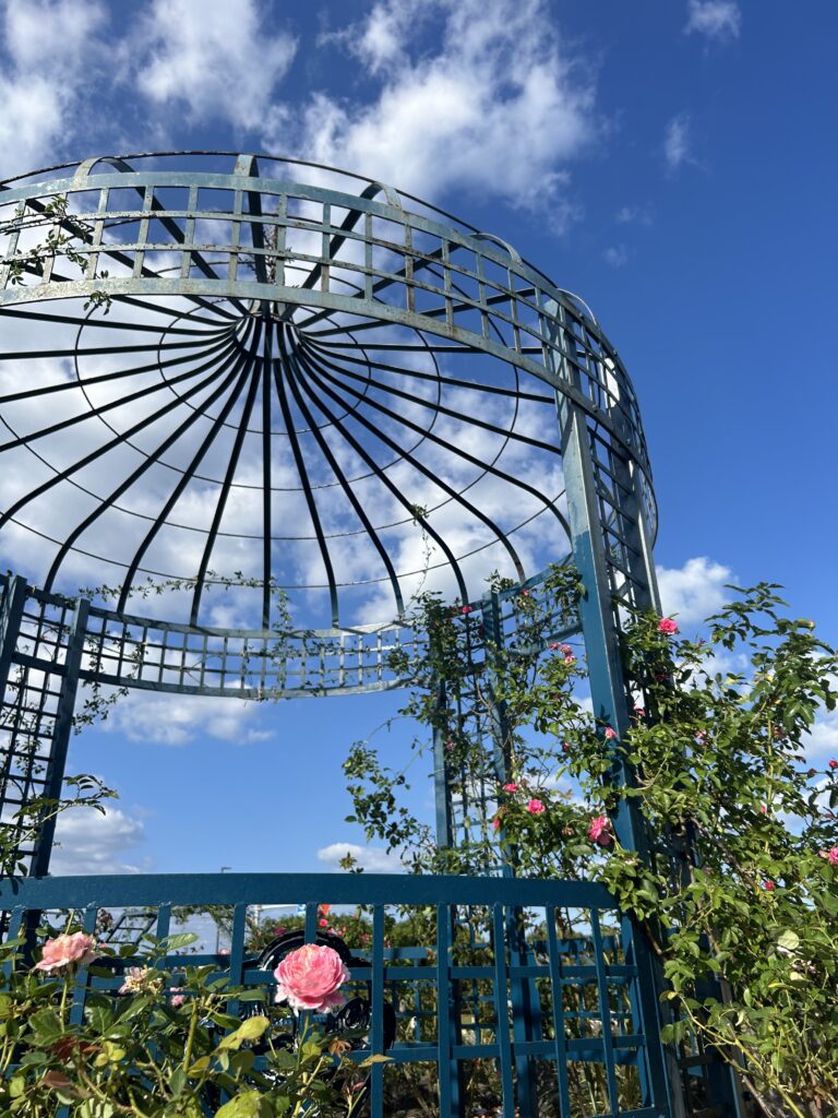 水俣玫瑰祭・秋 2025