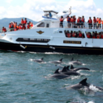 上天草戶外活動精選推薦