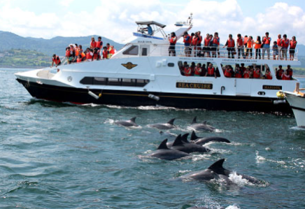 上天草戶外活動精選推薦