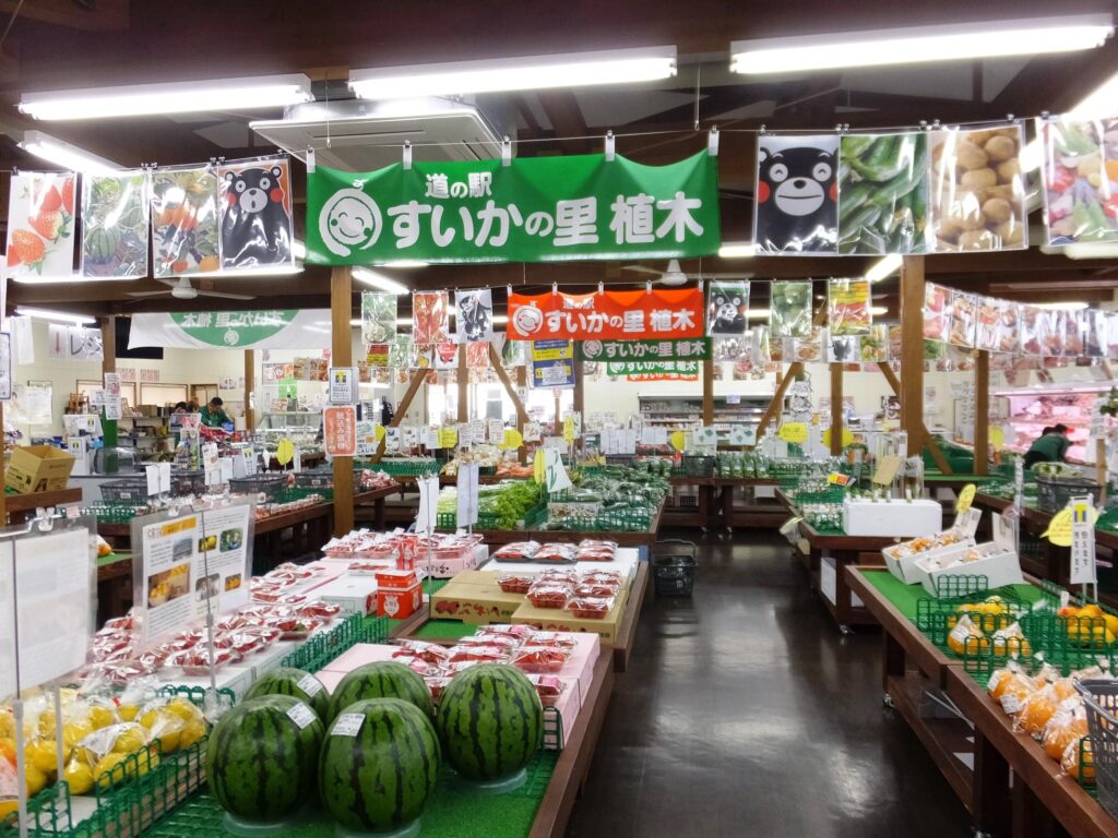 6月限定熊本道之驛超值情報